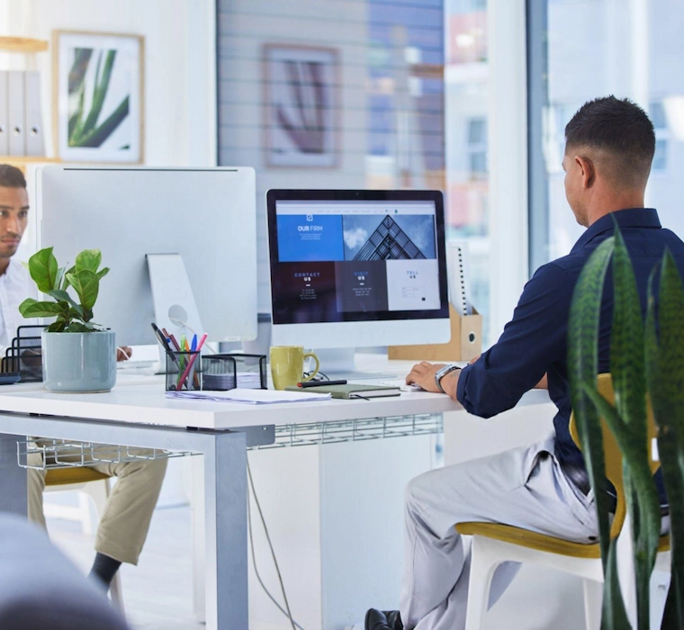 Website Design Development (2)